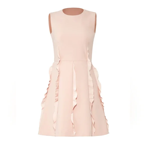 🪡 Valentino Pink Ruffle Skirt Dress, Sz 38 (US 2) - Picture 2 of 12